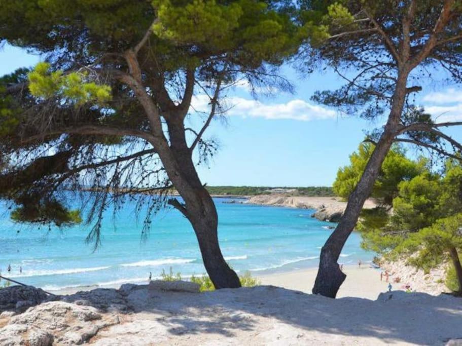 Maison Planier, Havre De Paix Proche Mer Et Centre Sausset-les-Pins Dış mekan fotoğraf